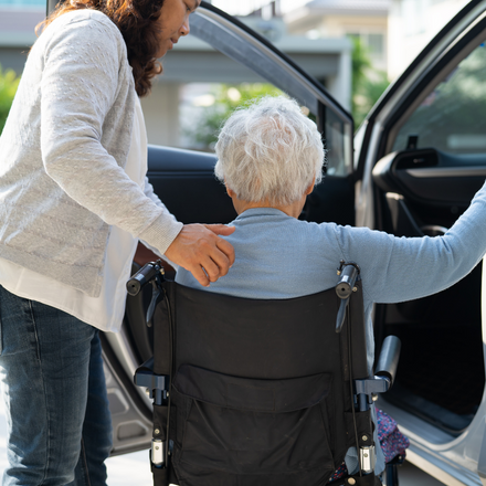 HealthACCESS – Mapping health services access: national and cross-border issues